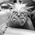 Renee Myhr Frank's profile image