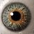 Jorge Frutis's profile image