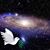 Stephanie L. Wright's profile image