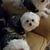 Cindy Estephan's profile image