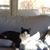 Cathy Sewell's profile image