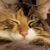 Jasen Dugan's profile image
