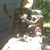 Rick McClelland Sr's profile image