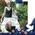 Doreen Theresa Maybin's profile image