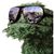 Don Barden's profile image
