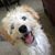 Sadie Jacob's profile image