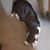 Debbie Greer's profile image