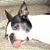 David Welch's profile image