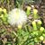 Geo Ulate Carrillo's profile image