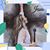 Deborah Kellison Farmer's profile image