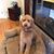 Evelyn Freitas's profile image