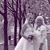 Debbie Jones Mucklow's profile image