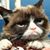 Sally P Prieto's profile image