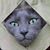 Nina Elenie Peskiris Dunaway's profile image