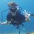Pontes Sal's profile image