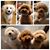 김태자's profile image