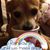 Renee Scudero Lane's profile image