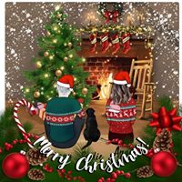 Angie Steele Clark's profile image