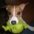 Dorothy Hall McAlister's profile image