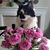 Maria Harmon's profile image