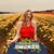 Heather Ashley Hooker's profile image