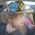 Brandon O'Leary's profile image