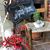 Tammy Campbell Fesmire's profile image