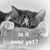 Isabel Cutler's profile image