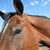 Wendy Duncan's profile image