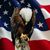 GFMonkie's profile image