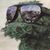 Dustin Jones's profile image