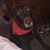 Cindy Crabtree Smith Lowe's profile image