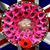Kerry Jane's profile image