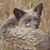 Jay Warwick's profile image