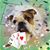 Nora Bricker's profile image
