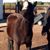 Sarah Curry Menzies's profile image