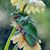 Linda Midgett-Hall's profile image