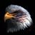 Bruce Cramblett's profile image