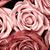 Christy Thomas's profile image