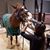 Erin Gatz's profile image