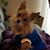 Lorie Lee Lucas Helmuth's profile image