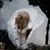 Jessica Carpenter-Paulson's profile image