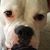 Jennifer DeLara's profile image