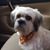 Kevin Miller's profile image