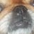 Karen Thornsberry's profile image