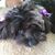 Susan Carew's profile image
