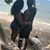Marabou Créole's profile image