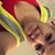 Amber Reneea's profile image