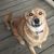 Kathy M Adams's profile image