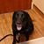 Brenda Evans Moore's profile image